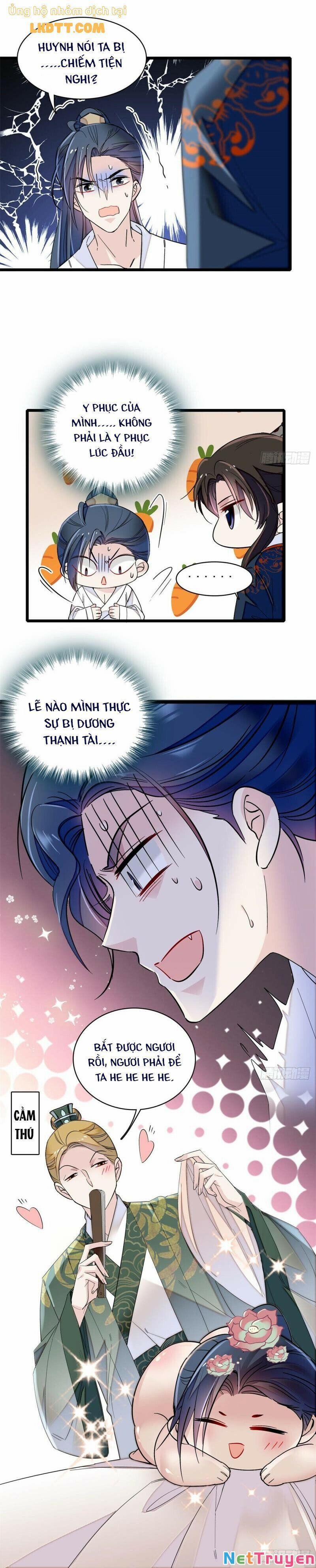 Tự Cẩm 95 trang 1