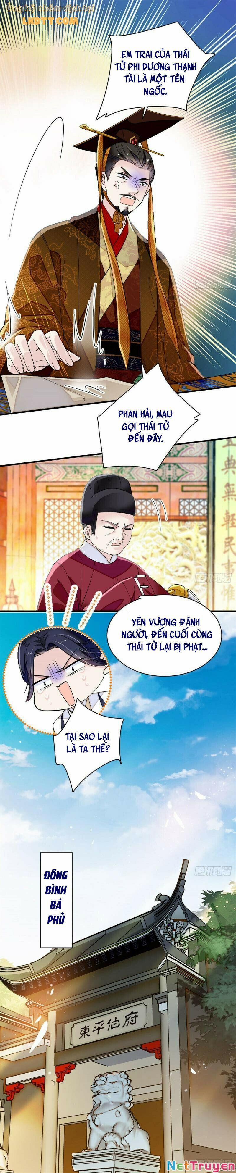 Tự Cẩm 98 trang 7