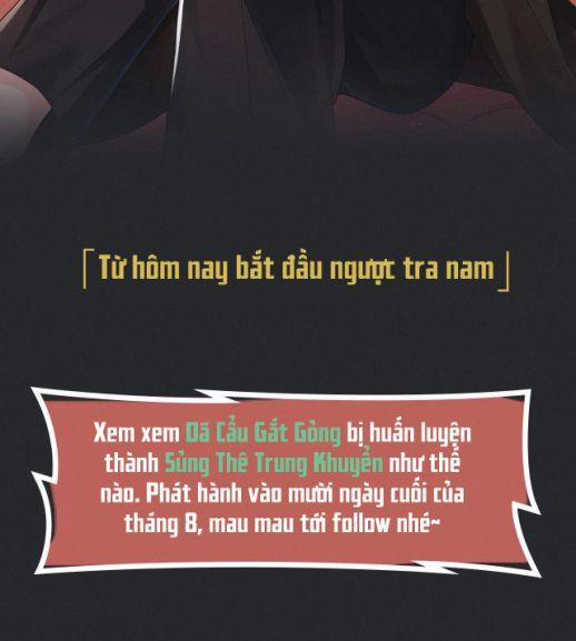 Từ Hôm Nay Bắt Đầu Ngược Tra Nam 0 Giới thiệu nhân vật trang 8