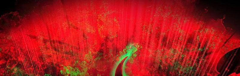 Từ Hồng Nguyệt Khai Thủy 185 trang 49