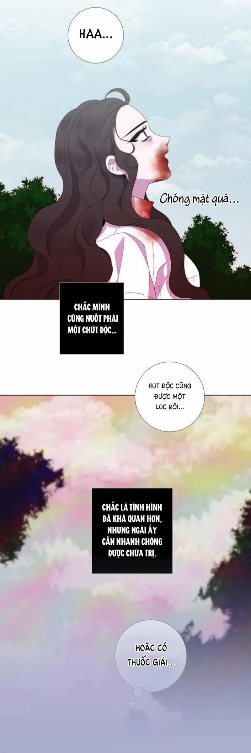 Từ Tiểu Thư Thành Hoàng Hậu – Lady To Queen 28.5 trang 8