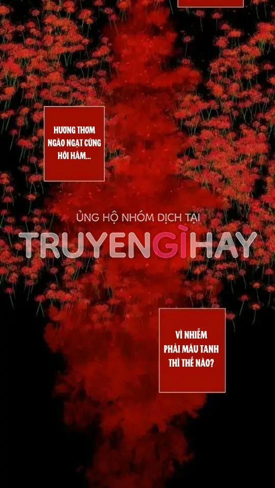 Từ Tiểu Thư Thành Hoàng Hậu – Lady To Queen 29.5 trang 11