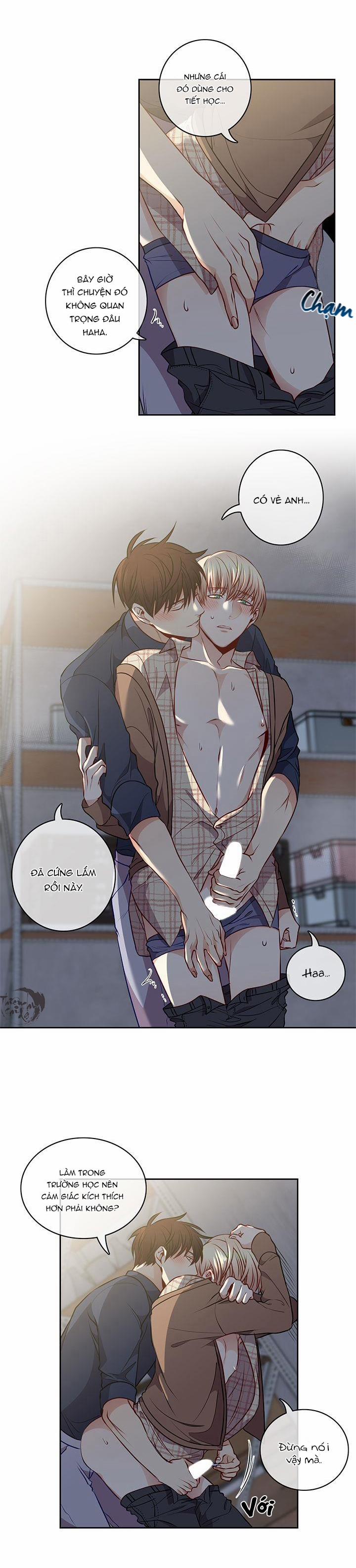 Tựa Như Tình Đầu 22 trang 3