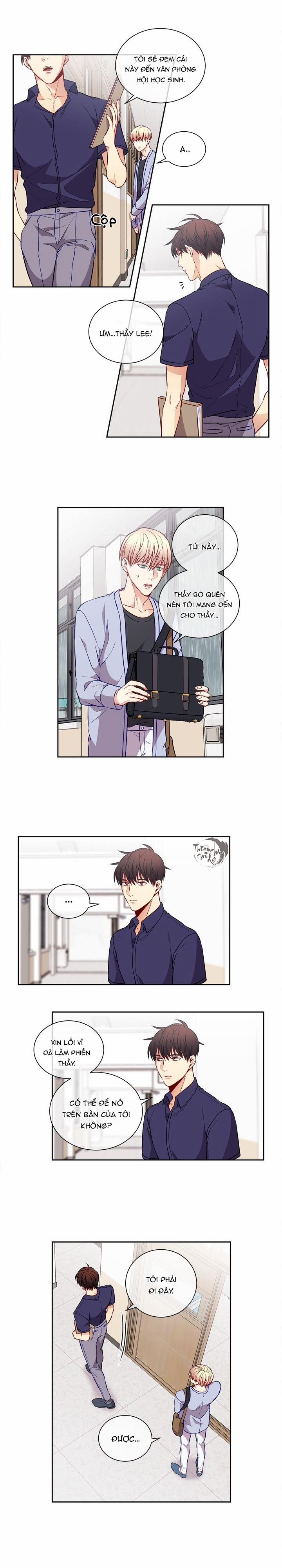 Tựa Như Tình Đầu 31 trang 5