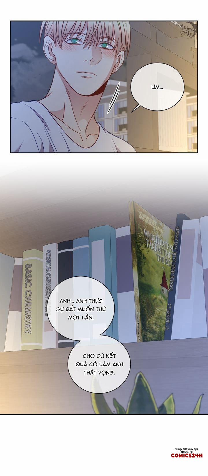 Tựa Như Tình Đầu 43 trang 13