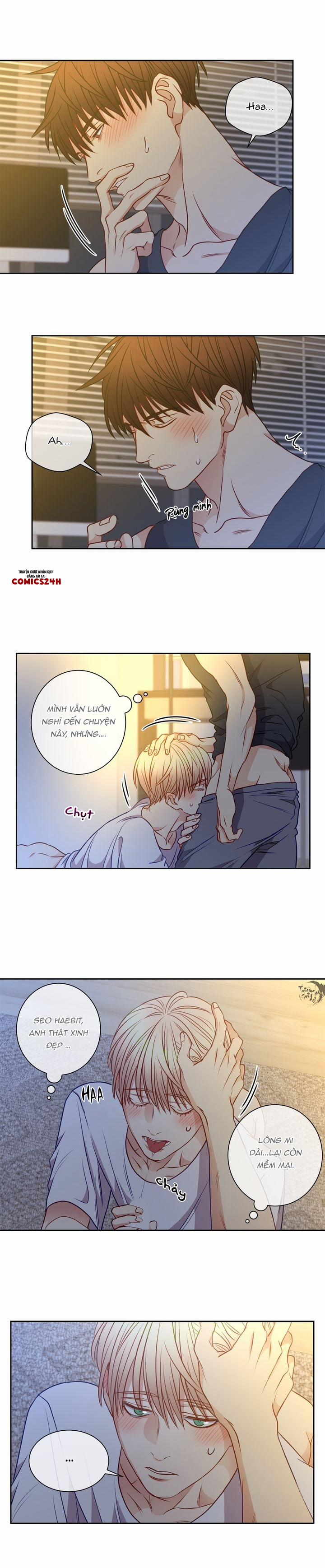 Tựa Như Tình Đầu 43 trang 3