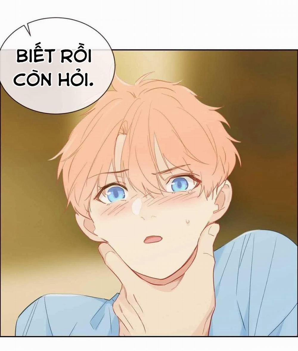 Tương Nhu Dịch Mộc 140 trang 17