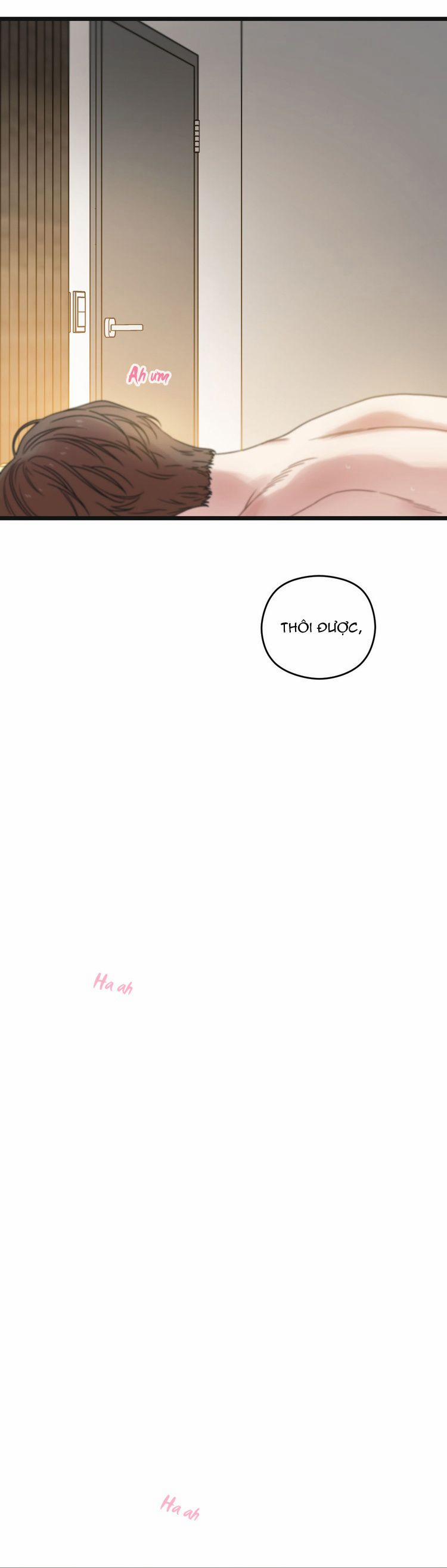 Tương Phùng 52 trang 41