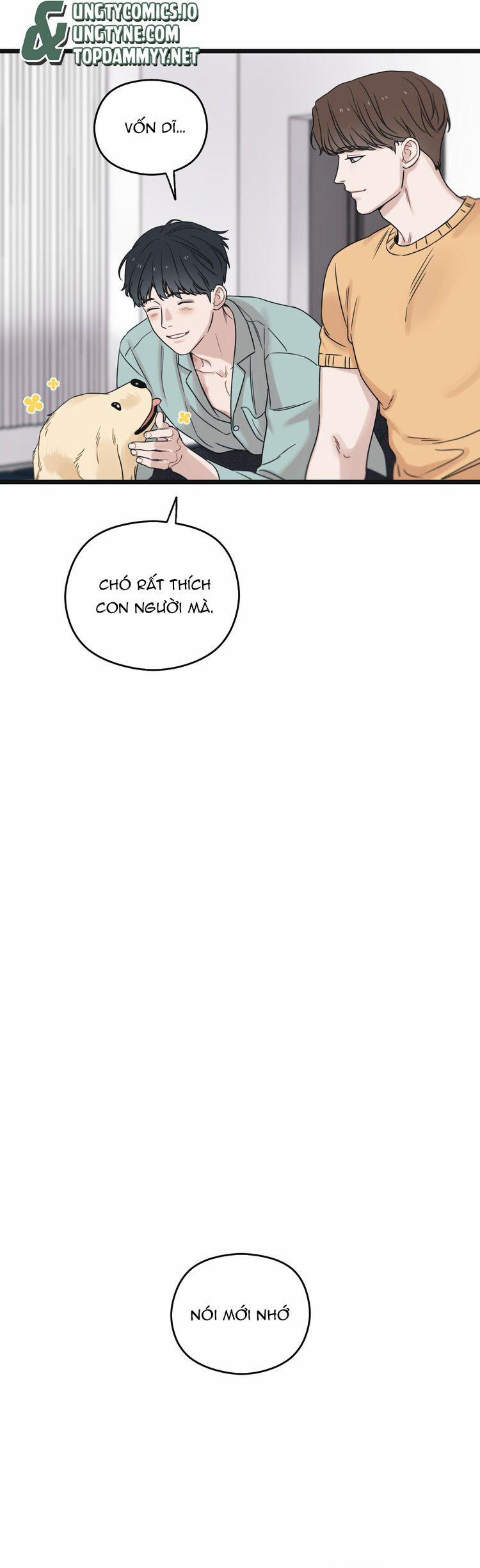 Tương Phùng 53 trang 14