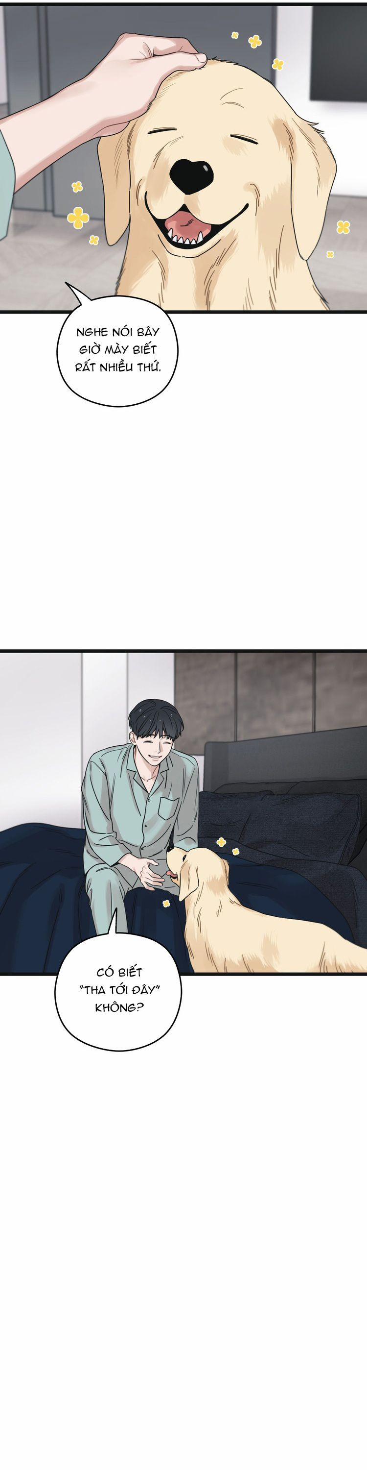 Tương Phùng 53 trang 26