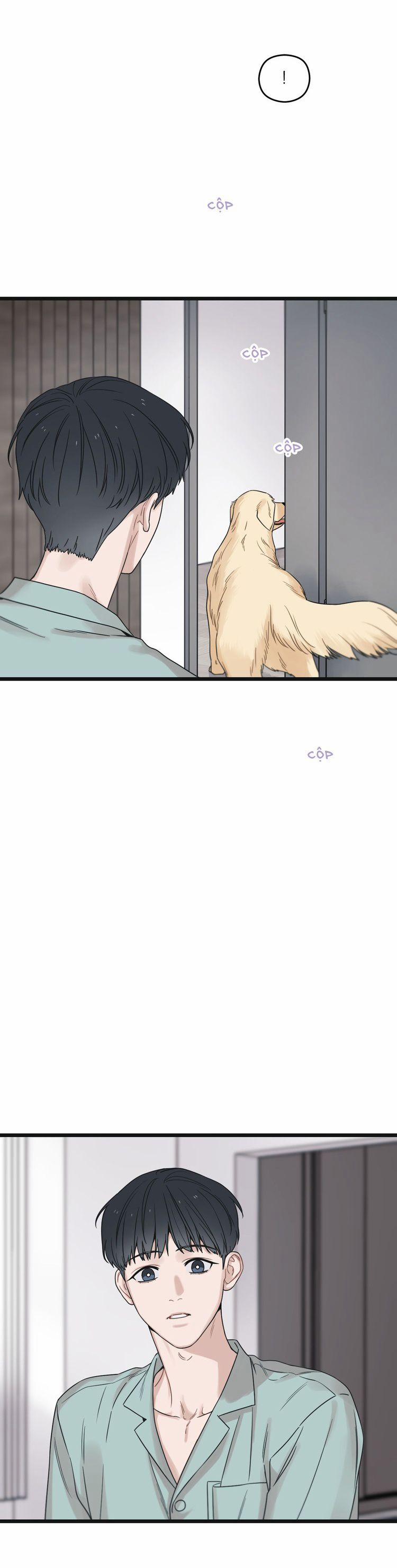 Tương Phùng 53 trang 27