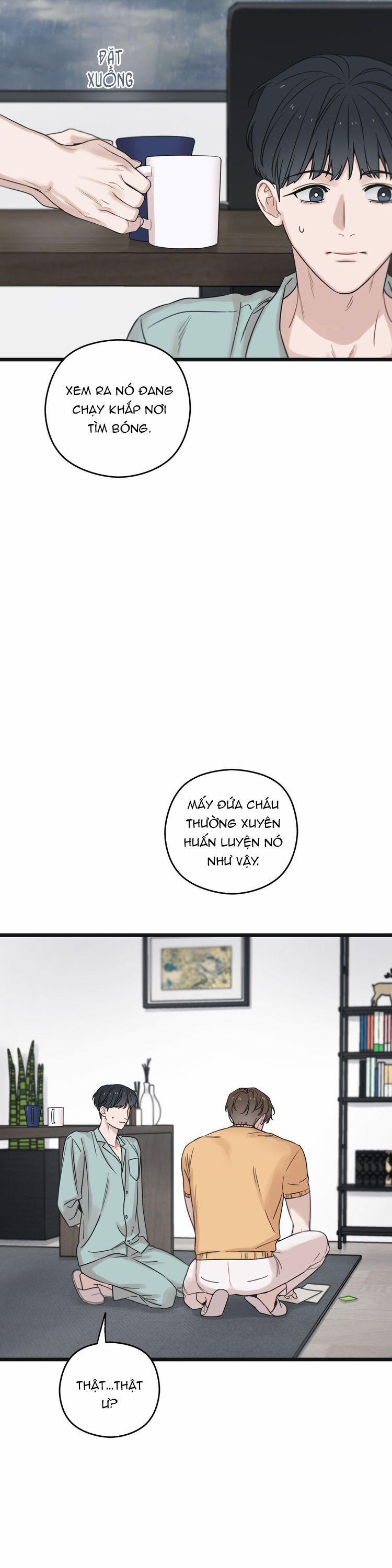 Tương Phùng 53 trang 39