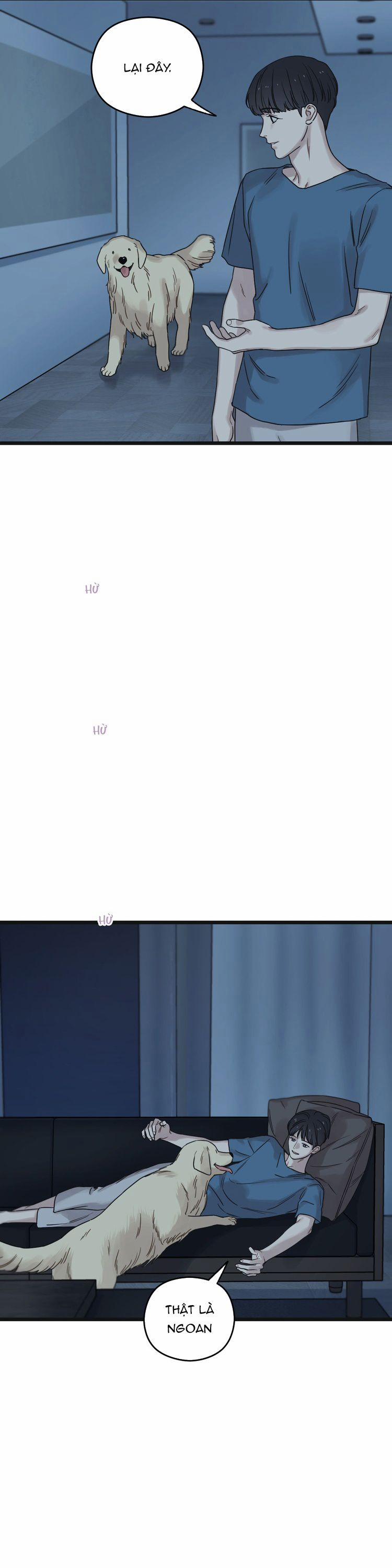 Tương Phùng 54 trang 17