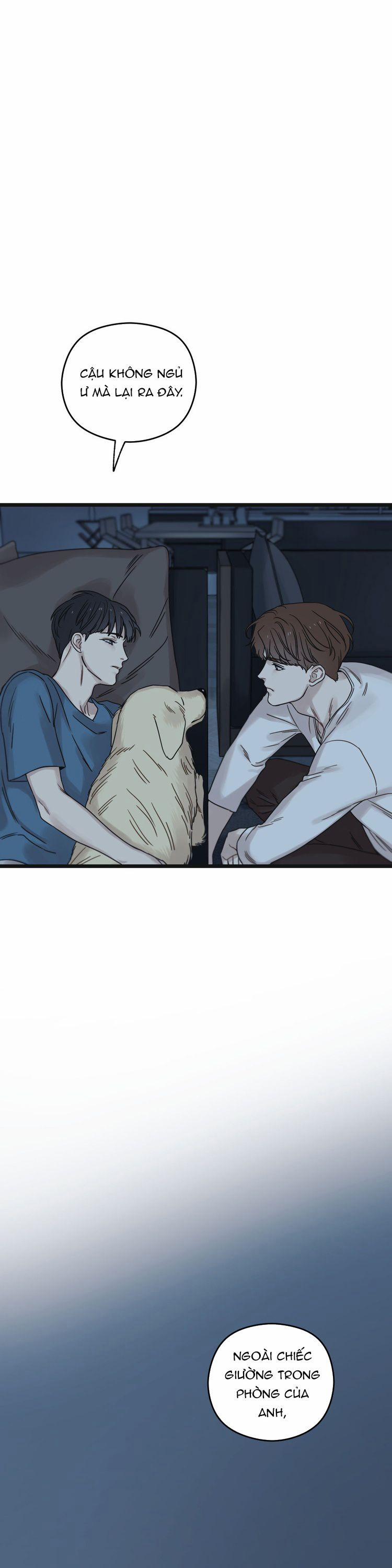 Tương Phùng 54 trang 21