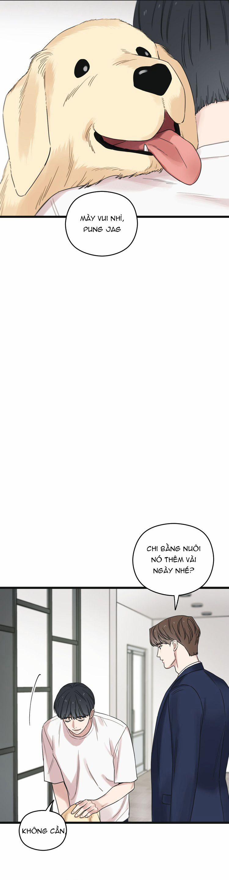 Tương Phùng 54 trang 31