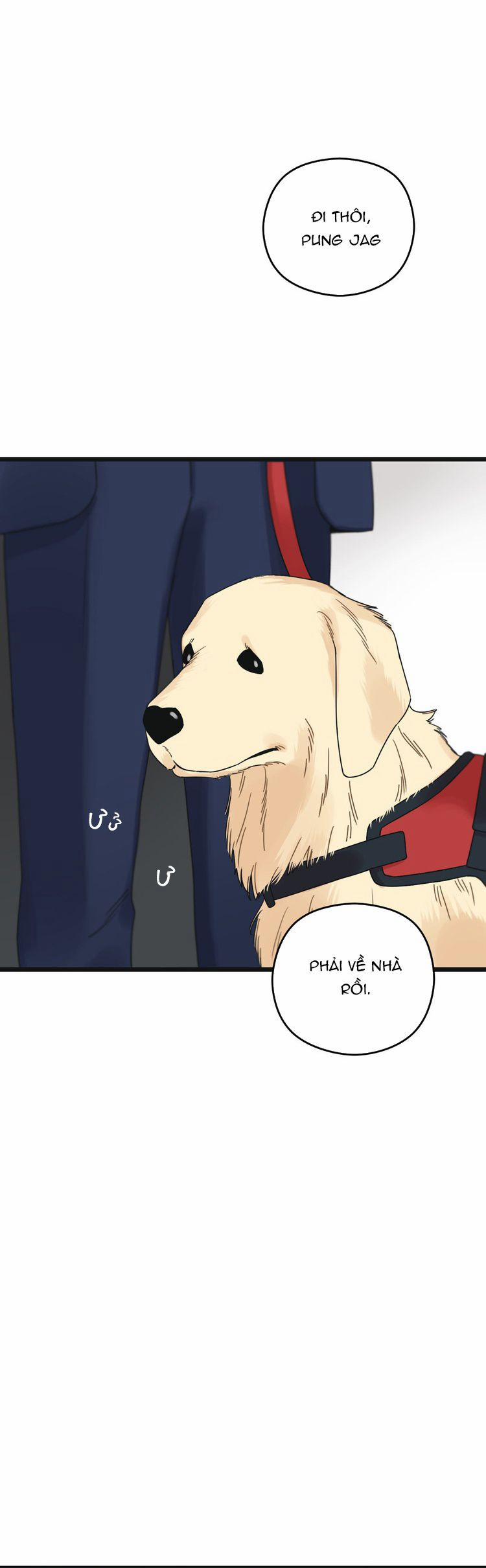 Tương Phùng 54 trang 34