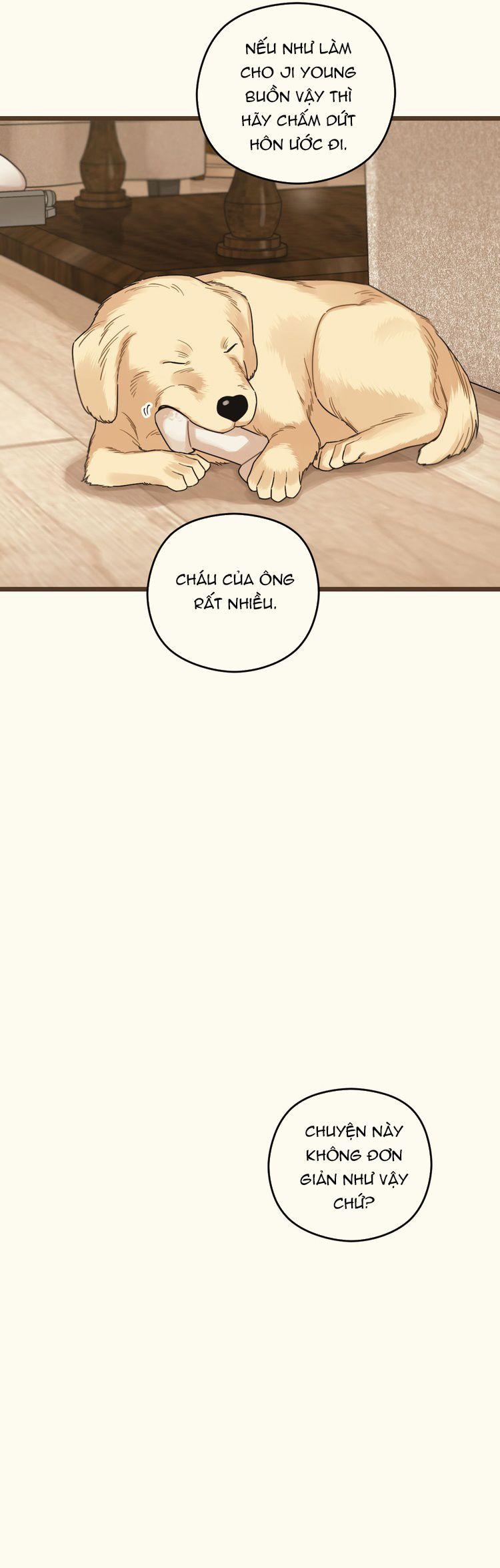 Tương Phùng 58 trang 16