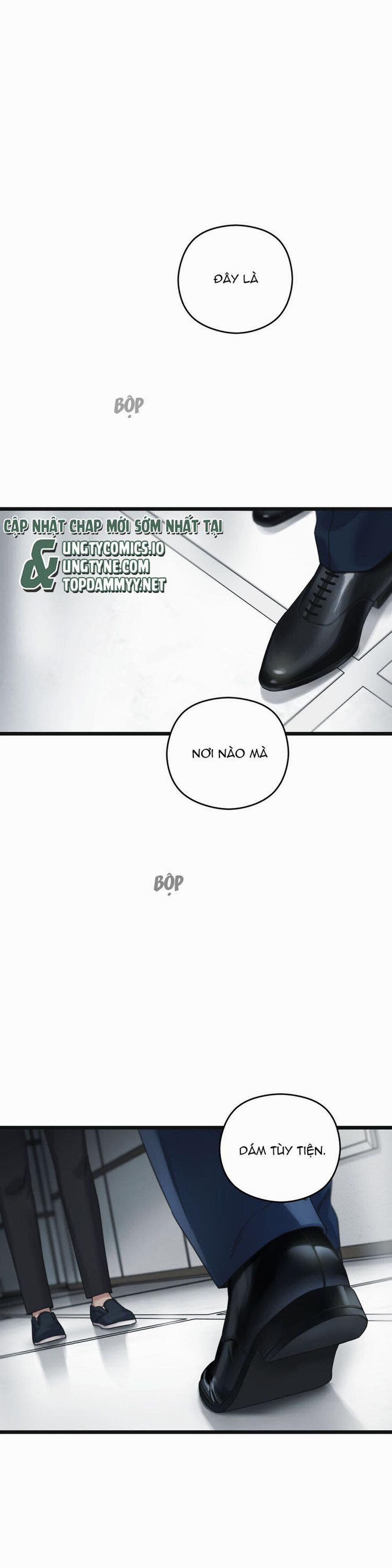 Tương Phùng 67 trang 36