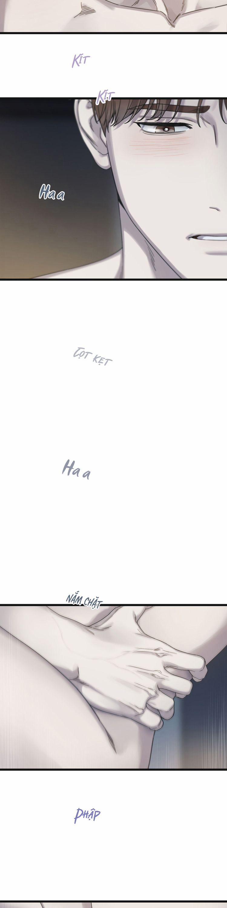 Tương Phùng 70 trang 11