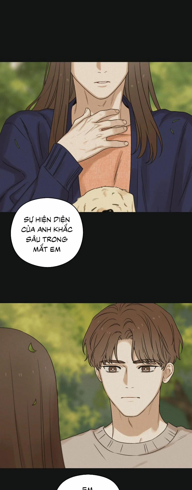 Tương Phùng 71 trang 40