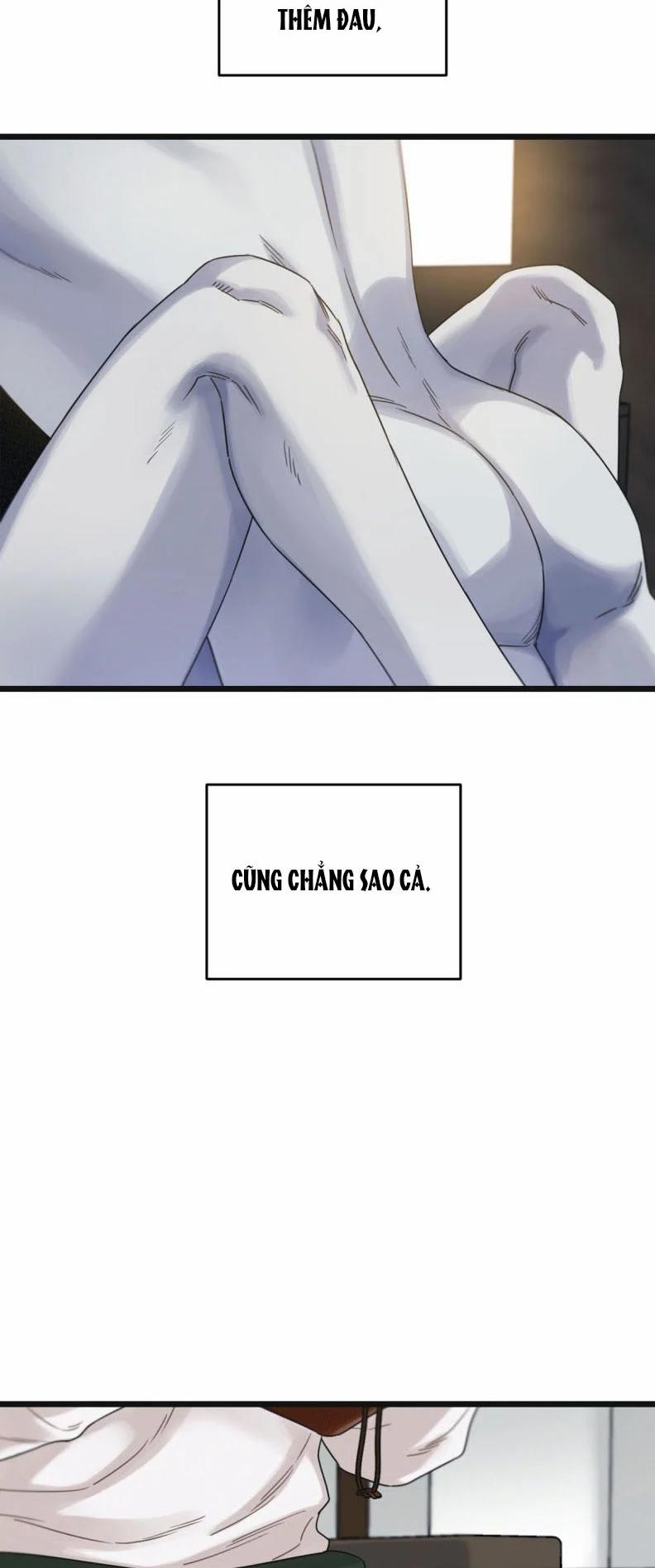 Tương Phùng 71 trang 52