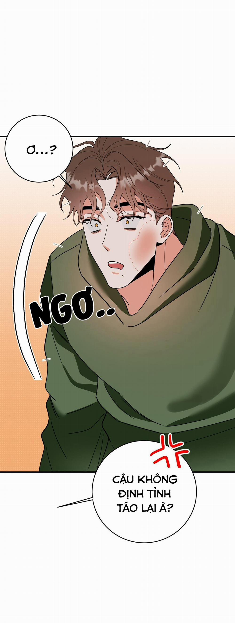 TURN OVER 4 trang 19