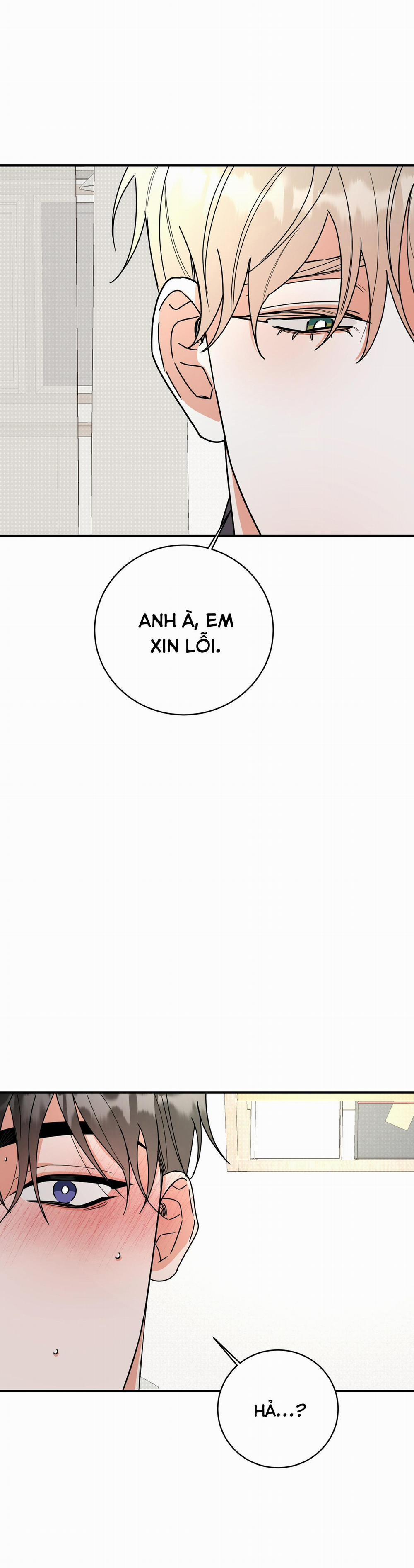 TURN OVER 6 trang 12