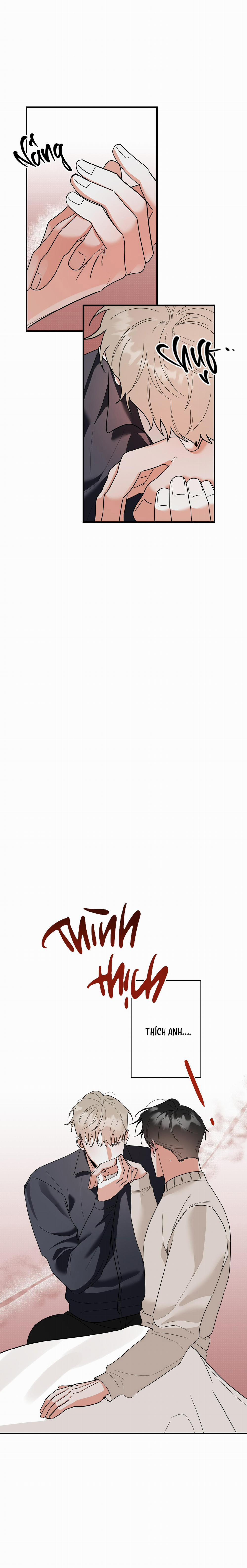 TURN OVER 6 trang 16