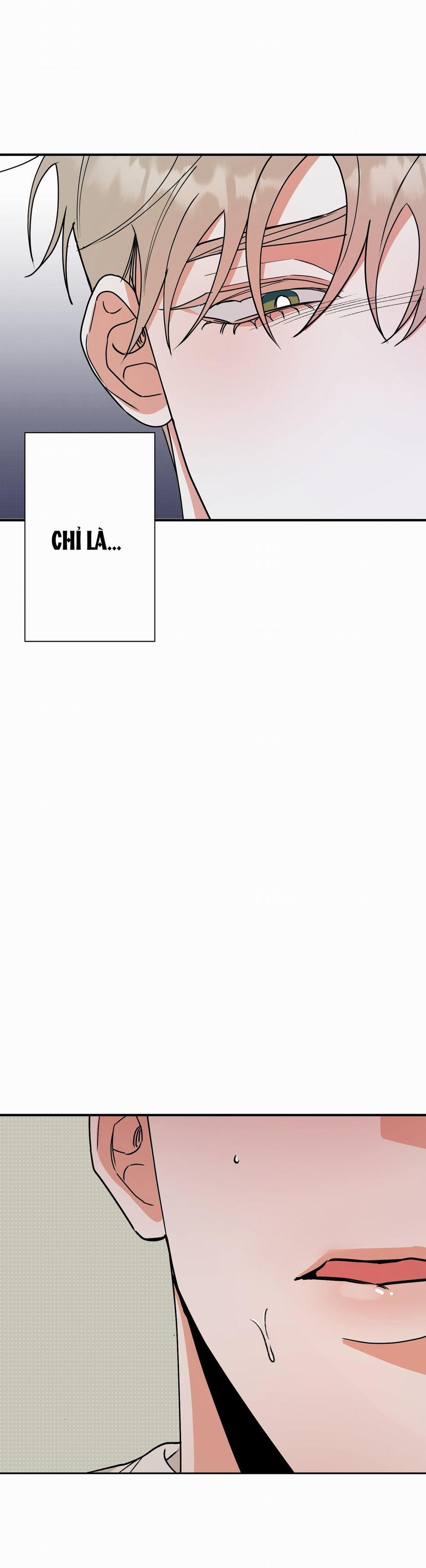 TURN OVER 7 trang 28