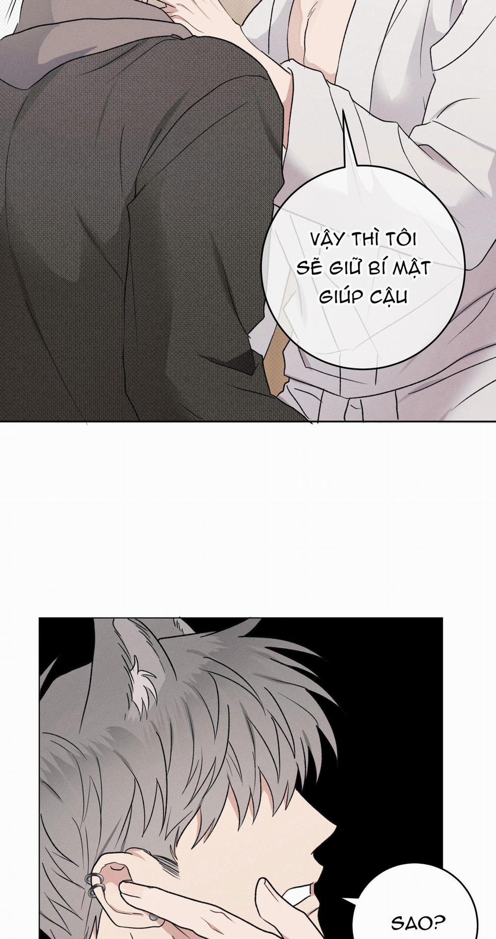 TUYỂN TẬP CUỒNG CÔNG-CHIẾM HỮU CÔNG CỦA NHÀ KIM 31.2 N.KÝ NUÔI SÓI 2 trang 41