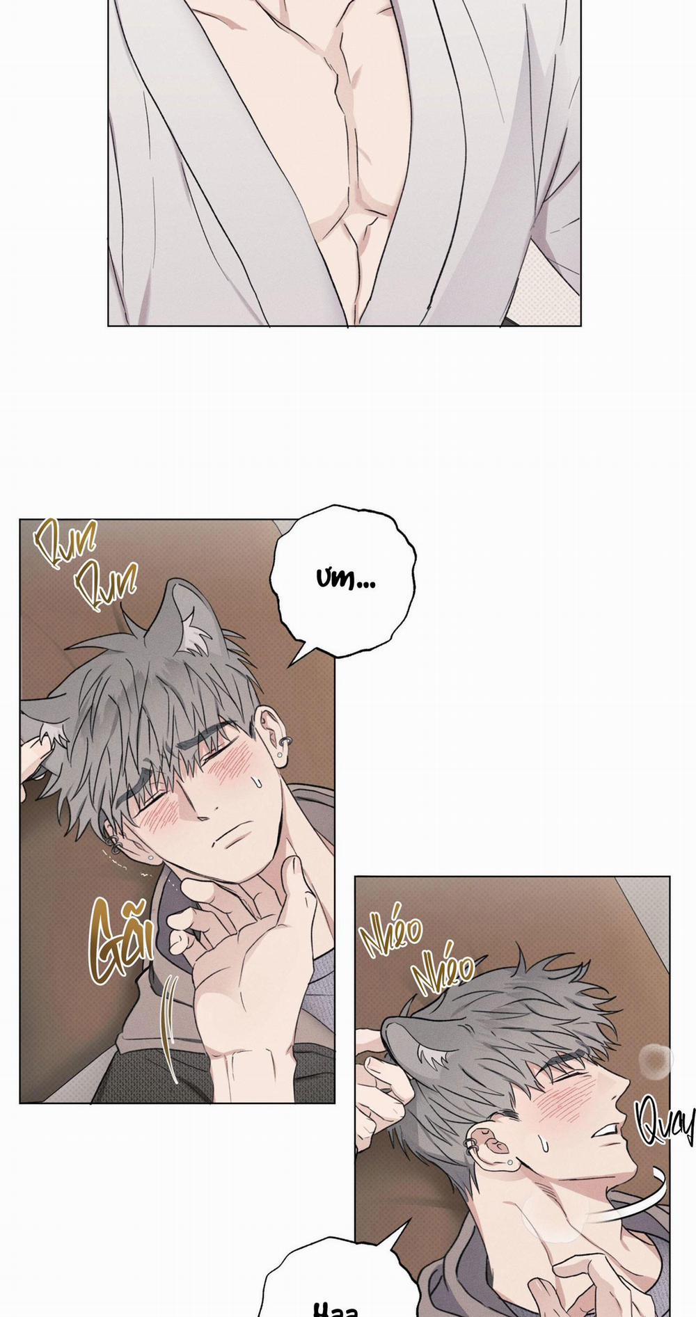 TUYỂN TẬP CUỒNG CÔNG-CHIẾM HỮU CÔNG CỦA NHÀ KIM 31.2 N.KÝ NUÔI SÓI 2 trang 5