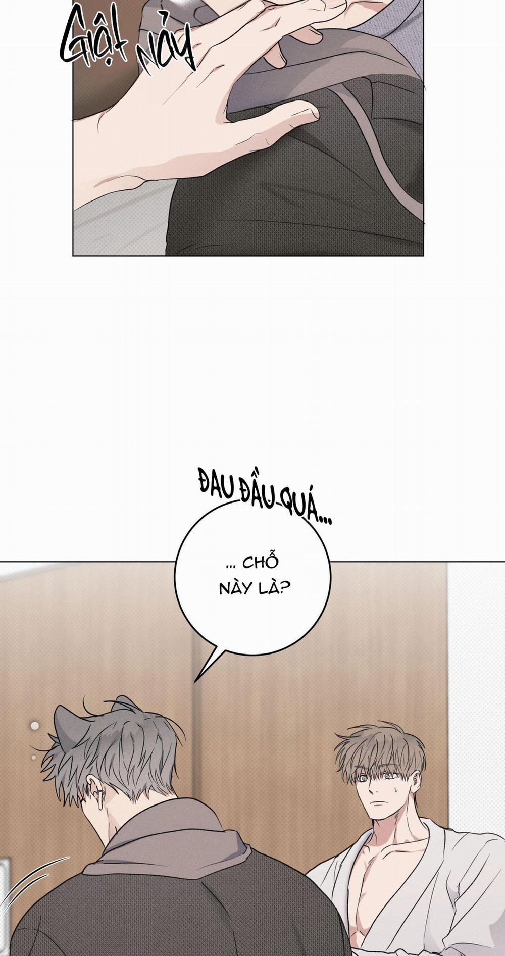 TUYỂN TẬP CUỒNG CÔNG-CHIẾM HỮU CÔNG CỦA NHÀ KIM 31.2 N.KÝ NUÔI SÓI 2 trang 8