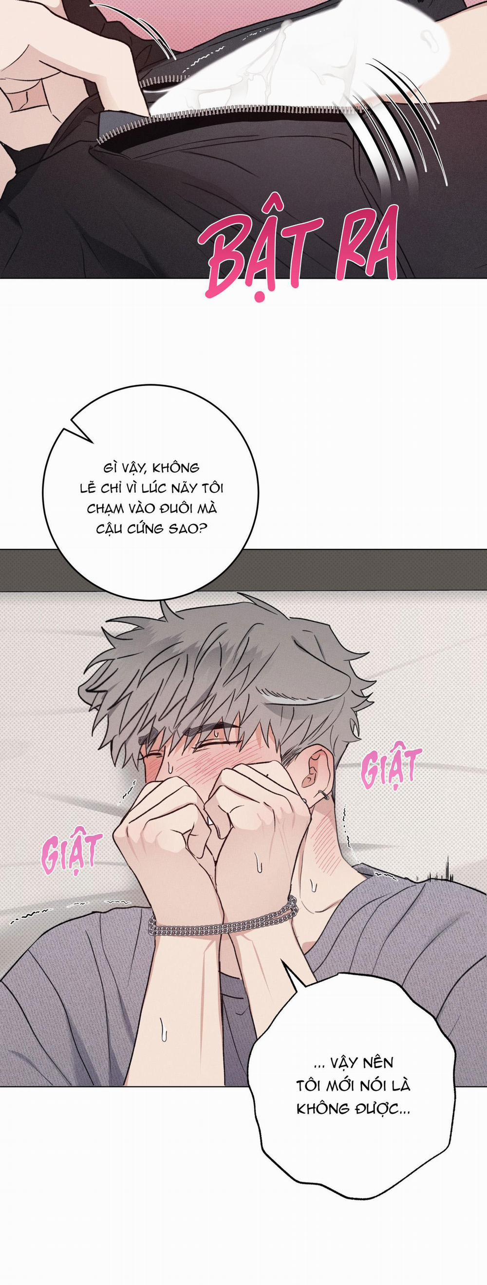 TUYỂN TẬP CUỒNG CÔNG-CHIẾM HỮU CÔNG CỦA NHÀ KIM 31.3 N.KÝ NUÔI SÓI 3 trang 11