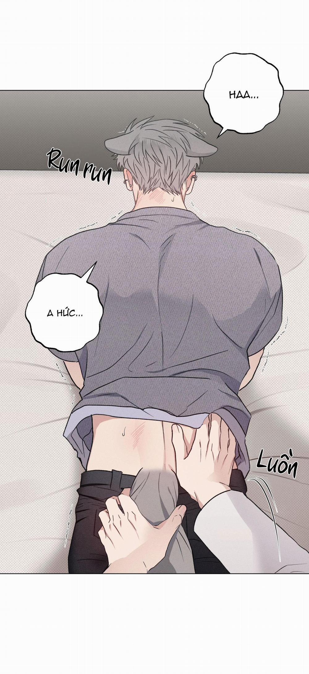 TUYỂN TẬP CUỒNG CÔNG-CHIẾM HỮU CÔNG CỦA NHÀ KIM 31.3 N.KÝ NUÔI SÓI 3 trang 2