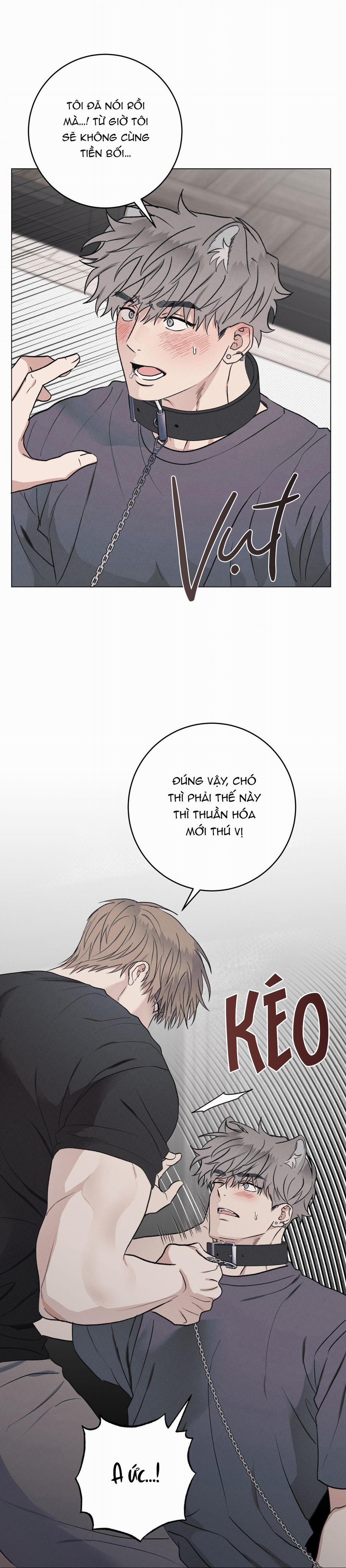 TUYỂN TẬP CUỒNG CÔNG-CHIẾM HỮU CÔNG CỦA NHÀ KIM 31.9 N.KÝ END trang 19