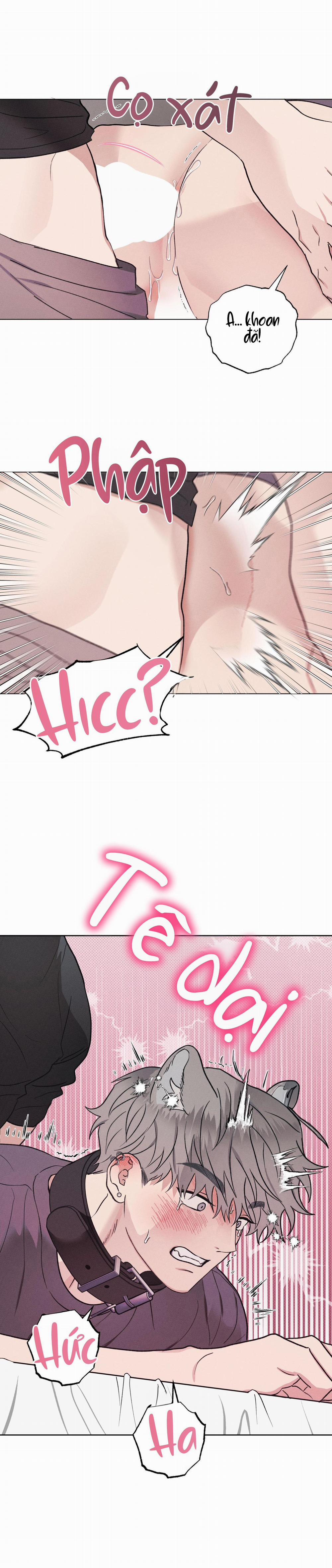 TUYỂN TẬP CUỒNG CÔNG-CHIẾM HỮU CÔNG CỦA NHÀ KIM 31.9 N.KÝ END trang 23