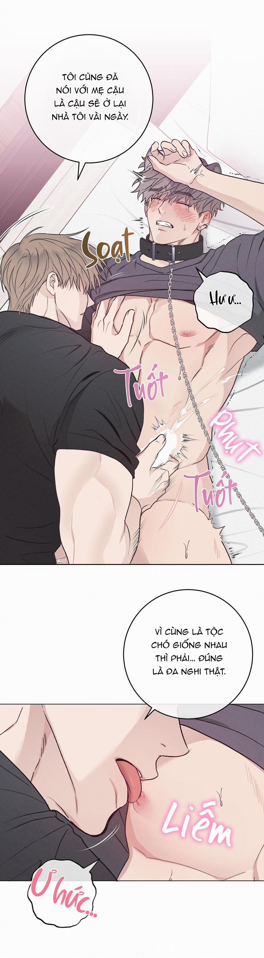 TUYỂN TẬP CUỒNG CÔNG-CHIẾM HỮU CÔNG CỦA NHÀ KIM 31.9 N.KÝ END trang 30