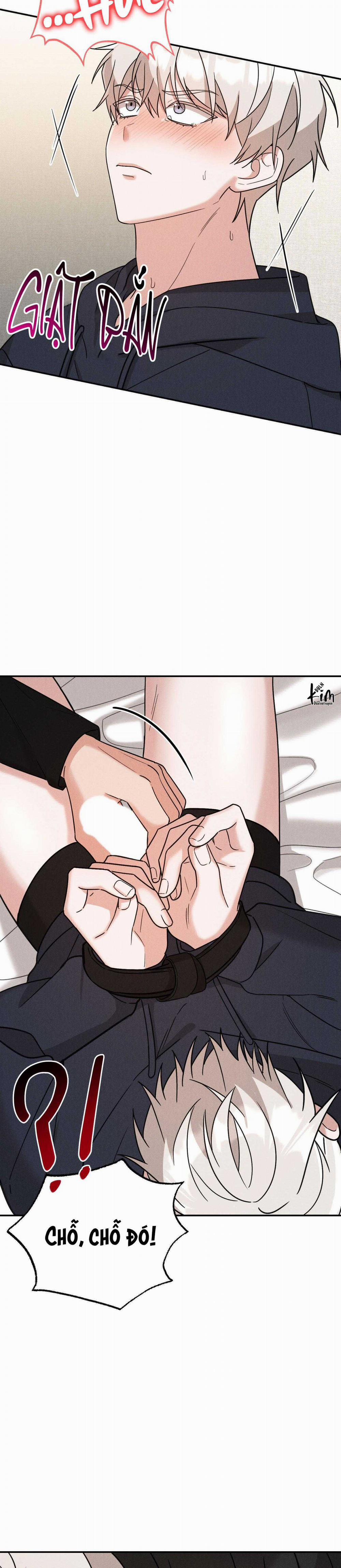 TUYỂN TẬP CUỒNG CÔNG-CHIẾM HỮU CÔNG CỦA NHÀ KIM 44.4 trang 8