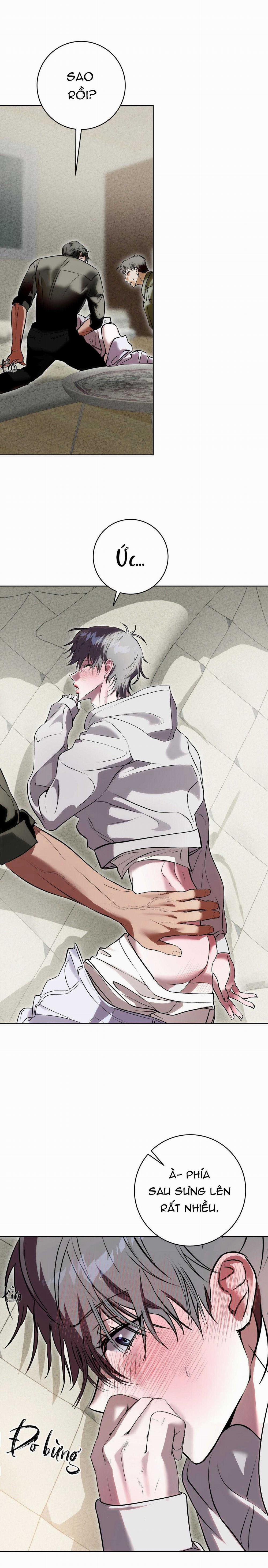 TUYỂN TẬP CUỒNG CÔNG-CHIẾM HỮU CÔNG CỦA NHÀ KIM 46.3 trang 15