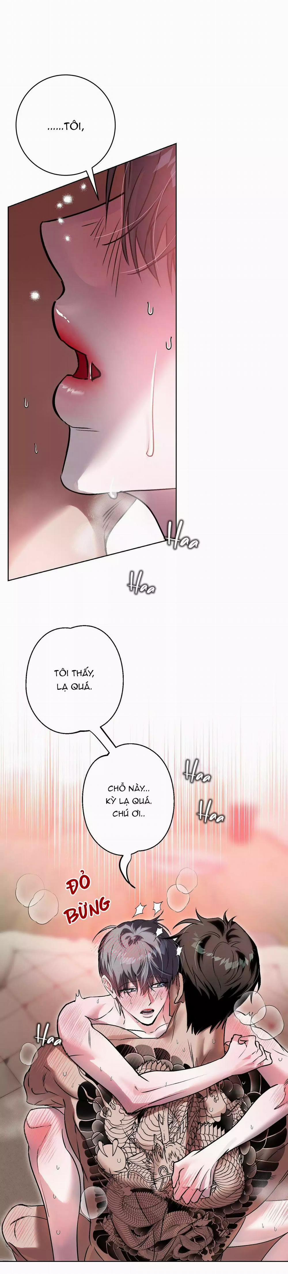 TUYỂN TẬP CUỒNG CÔNG-CHIẾM HỮU CÔNG CỦA NHÀ KIM 46.5 trang 2