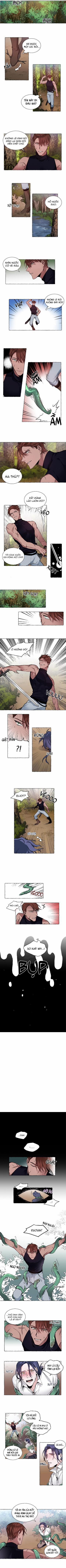 Tuyển Tập Manhwa 18+ 18 trang 0