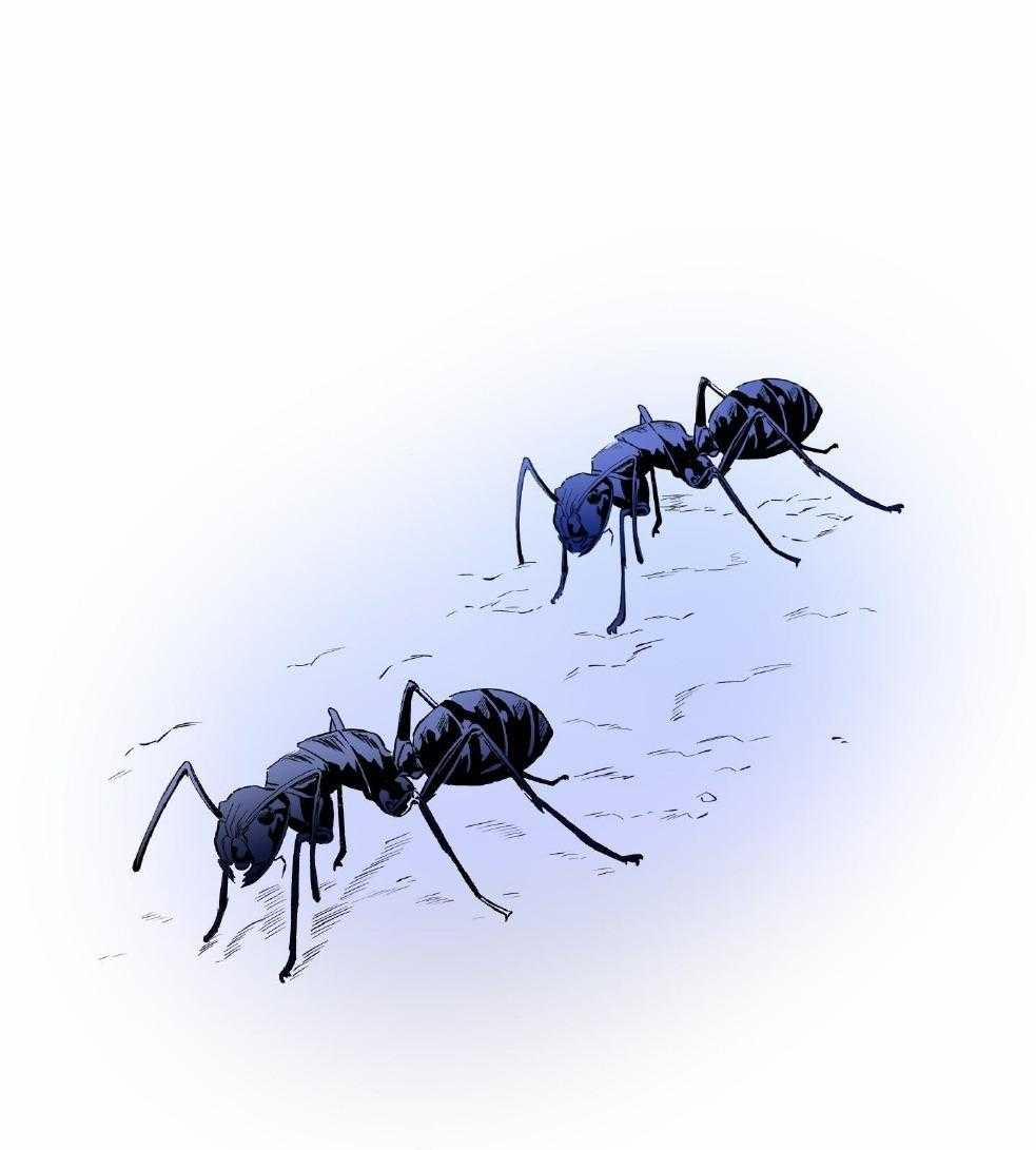 Tuyển Tập Manhwa Dằm Khăm 79 trang 73