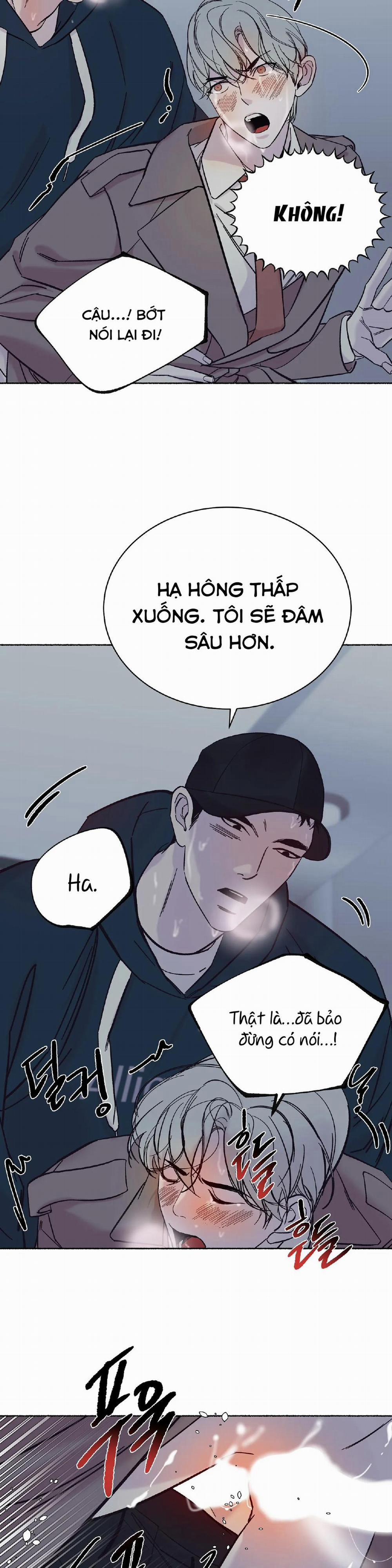 Tuyển tập manhwa người lớn 1.1 trang 1