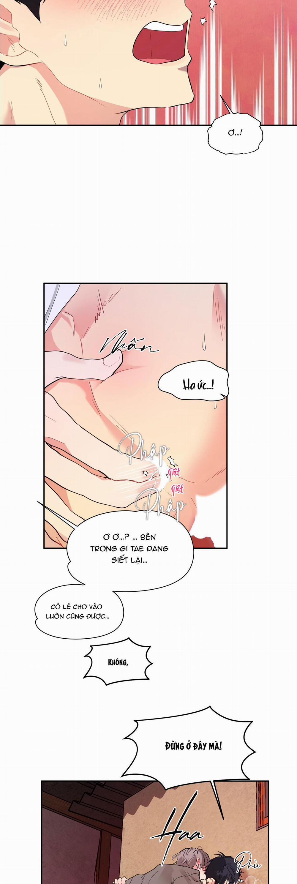 TUYỂN TẬP NGỰC BỰ, CUNG KHỦ CỦA NHÀ KIM 164.1 VỊ KHÁCH 1 trang 33