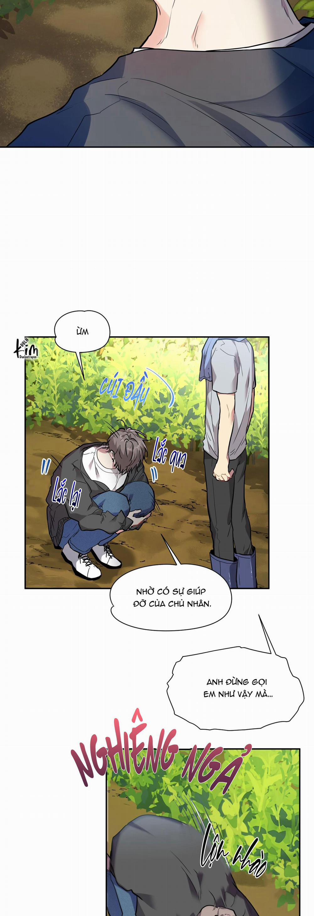 TUYỂN TẬP NGỰC BỰ, CUNG KHỦ CỦA NHÀ KIM 164.4 VỊ KHÁCH SAU NHÀ 4 trang 3