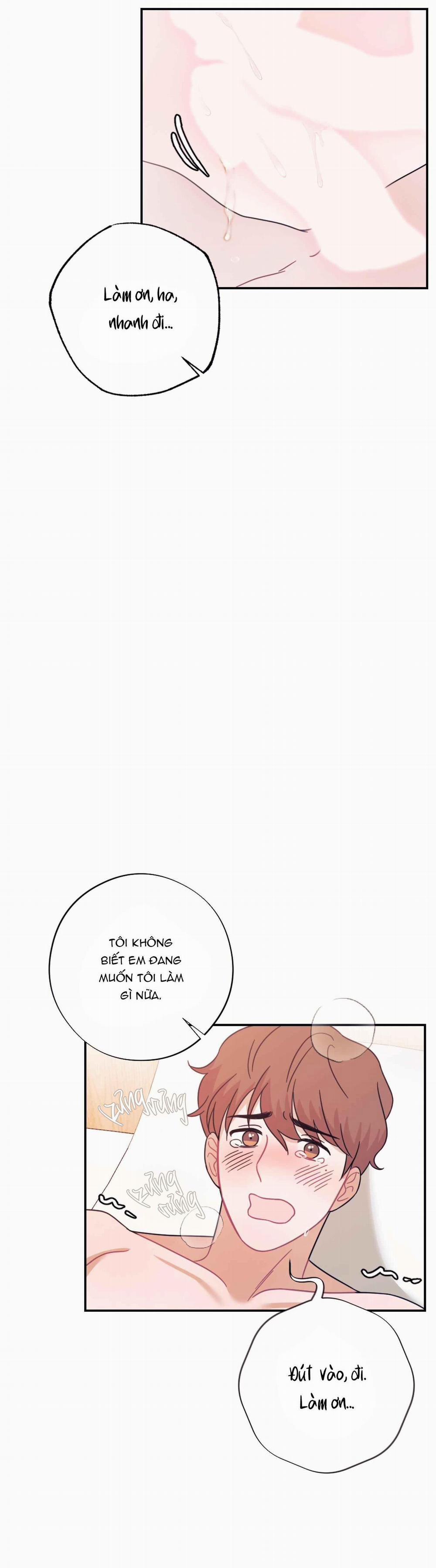 TUYỂN TẬP NGỰC BỰ, CUNG KHỦ CỦA NHÀ KIM 172.4 Rắn và bò sữa 4 trang 7