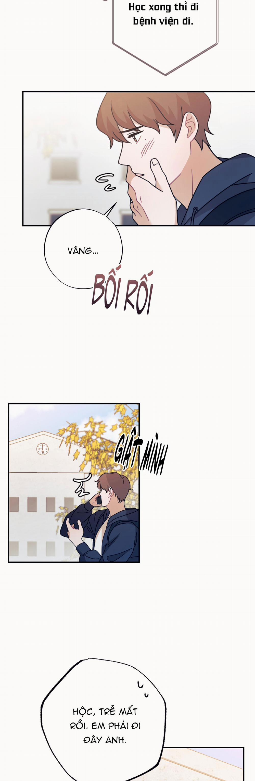 TUYỂN TẬP NGỰC BỰ, CUNG KHỦ CỦA NHÀ KIM 172.5 Rắnvà bòsữa end trang 30