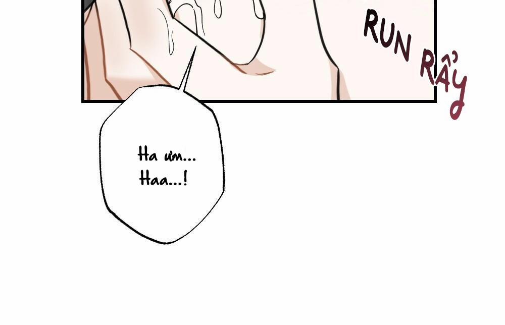 TUYỂN TẬP NGỰC BỰ, CUNG KHỦ CỦA NHÀ KIM 8 BÒ SỮA 1 trang 43