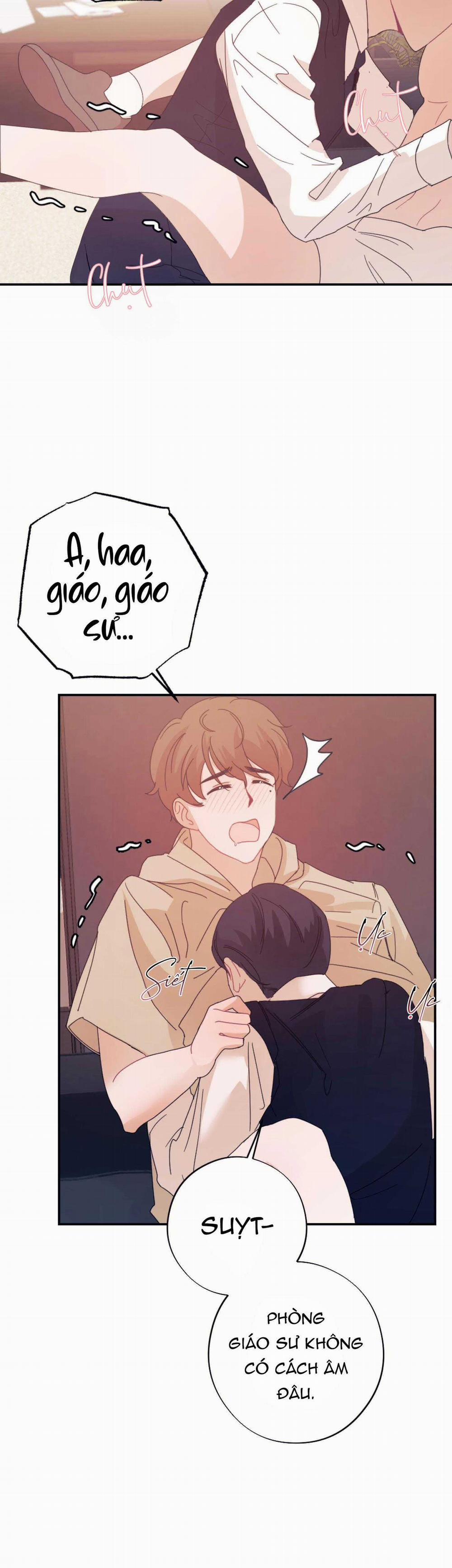 Tuyển Tập Ngực Bự Mlem - BDSM Của Nhà Kim 172.2 trang 33