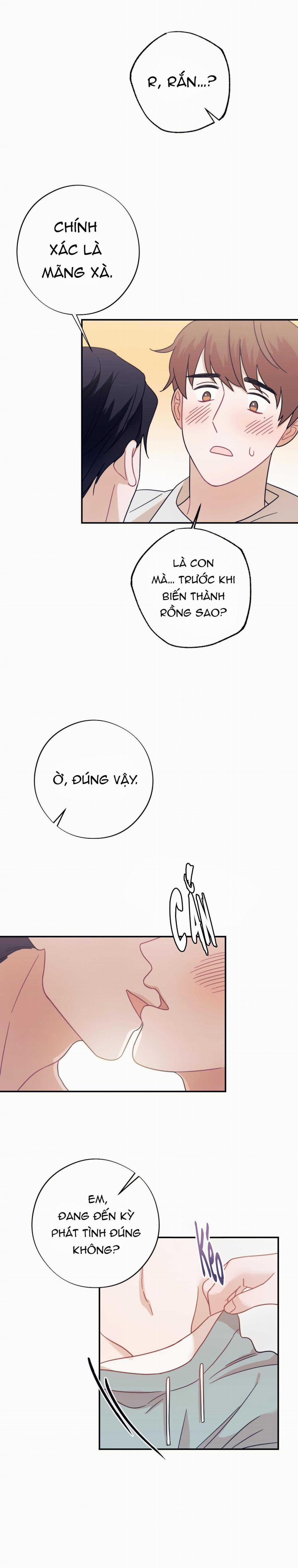 Tuyển Tập Ngực Bự Mlem - BDSM Của Nhà Kim 172.3 trang 41